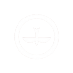 Design sem nome (40)